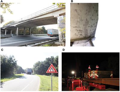 Optimizing Finite Element Models for Concrete Bridge Assessment With Proof Load Testing